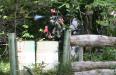 Tha Stargate at predatorsport paintball coventry